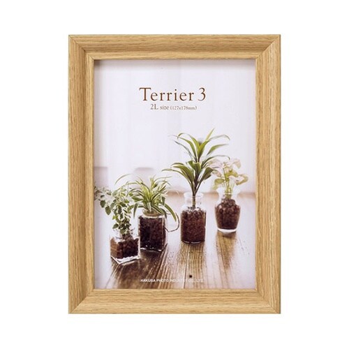 FWTR3−NT2L1フレーム テリア3