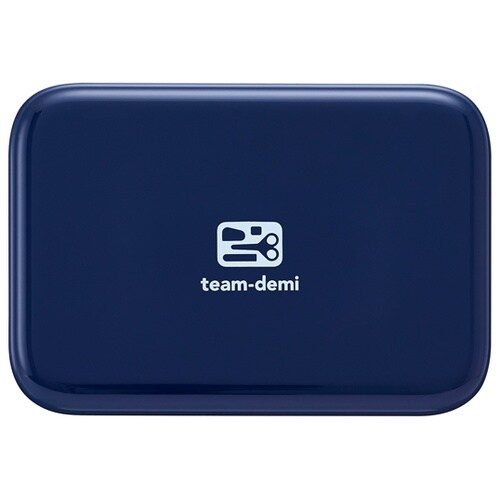 チームデミ TD−001 こん 3021