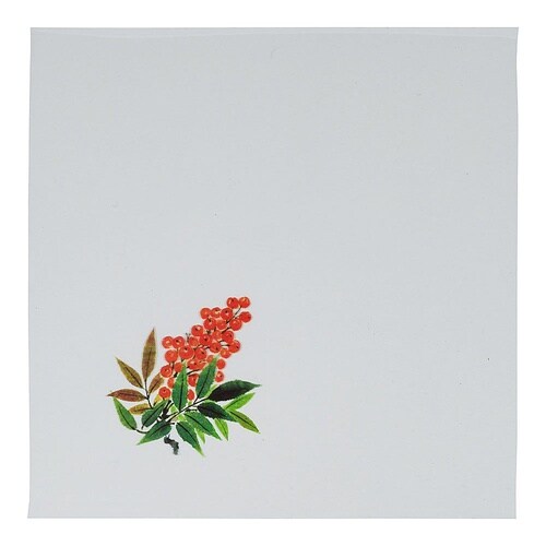 QKL143 南天 OS−18−4