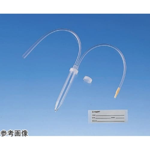 Argyle Fukuroi スペシメン