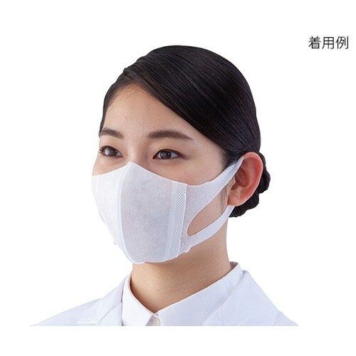 超立体マスク 100枚入