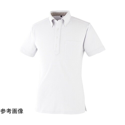 9020 DRYボタンダウン半袖ポロ ホ