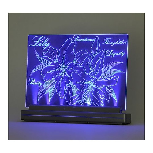 13347 ライトスクラッチA5