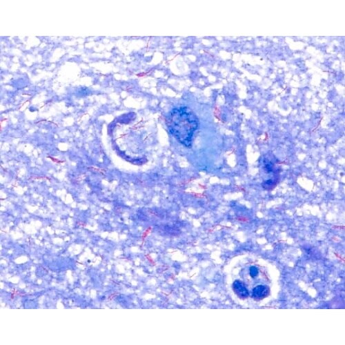 1.01287.0100 レフレルメチレ