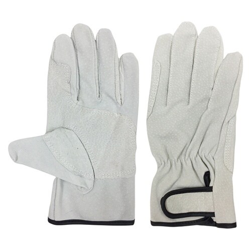 AG547−3P−M 豚床革手袋 M