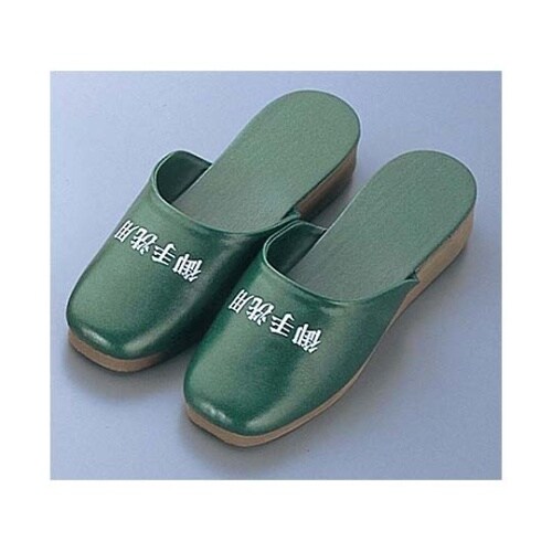 7623010スリッパL SS120T