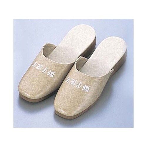 7622910スリッパL SS120T