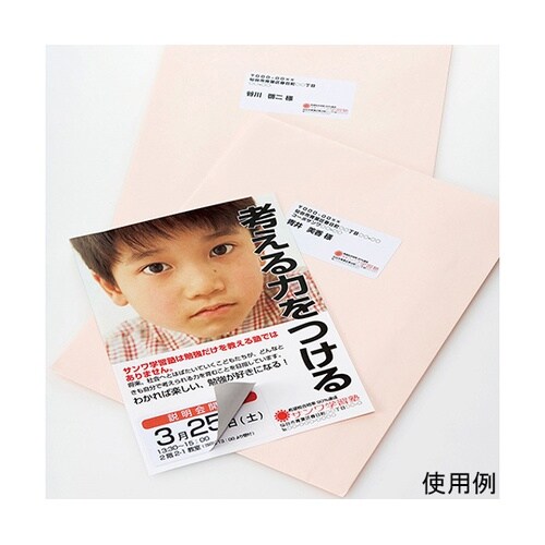 LB−EM25下地が透けないマルチラベル