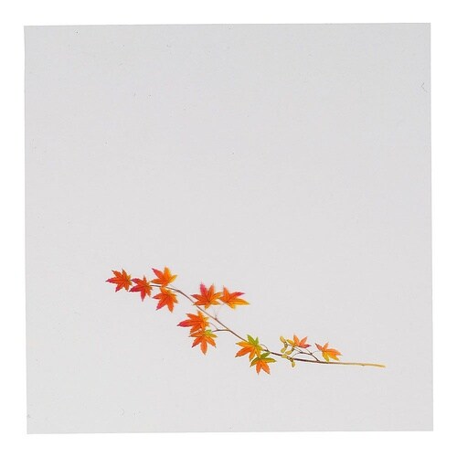 QKL092 赤もみじ OS−15−9