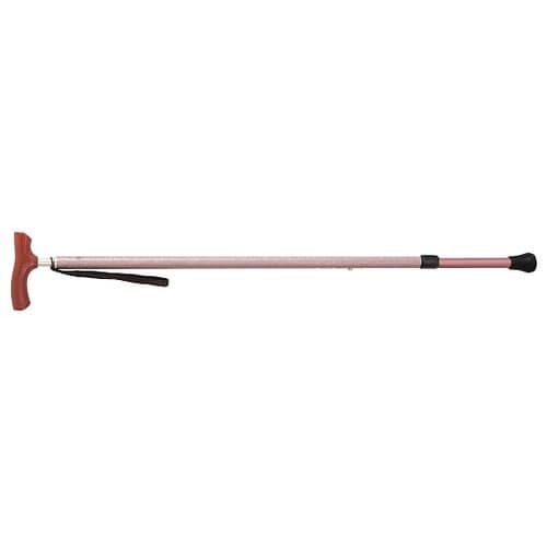 600100 カイノス 和彩