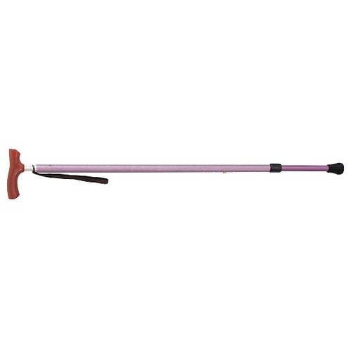 600101 カイノス 和彩