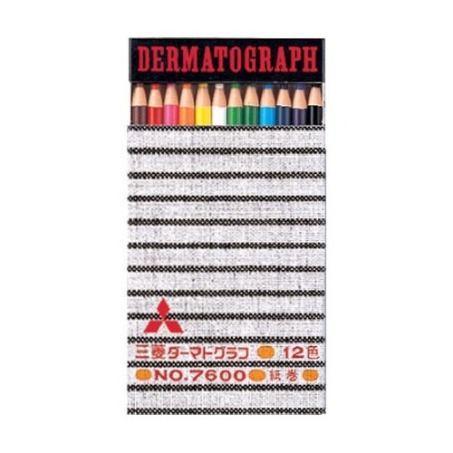 油性ダーマトグラフ 12色セット 1箱(