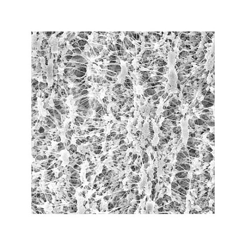 JVWP14225 OMNIPORE D