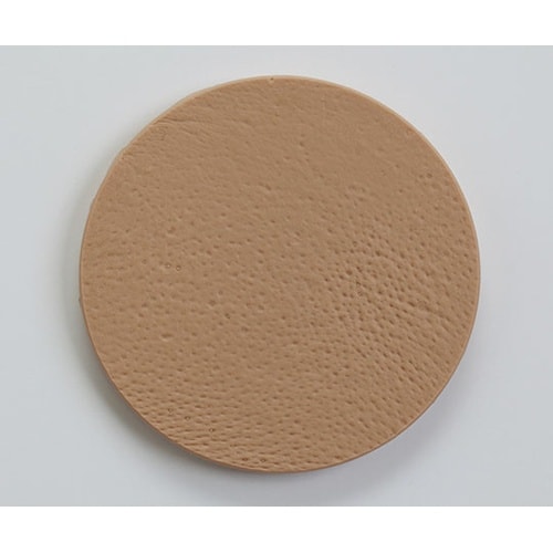 10AN 頬部肌模型50代女性 ウレタン