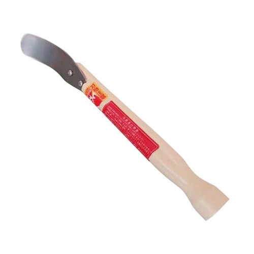 かぼちゃの種取り 4651200