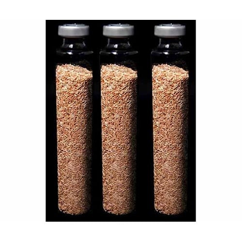 還元銅 線状 0.5×4mm 1セット(