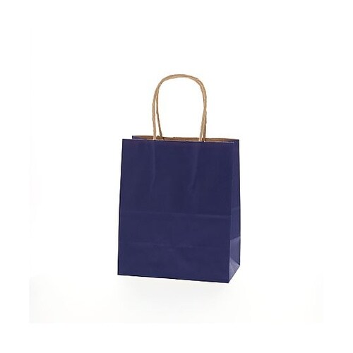 003266306 手提げ紙袋未晒