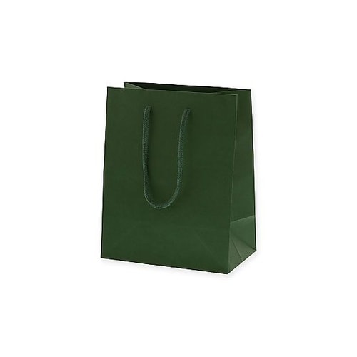 005330101 手提げ紙袋 緑