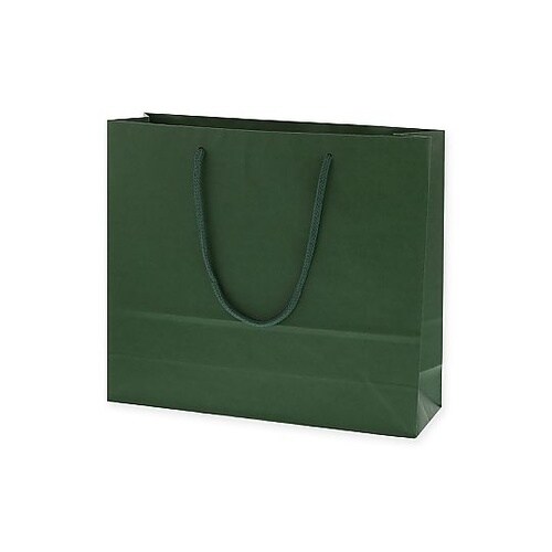 005320111 手提げ紙袋 緑
