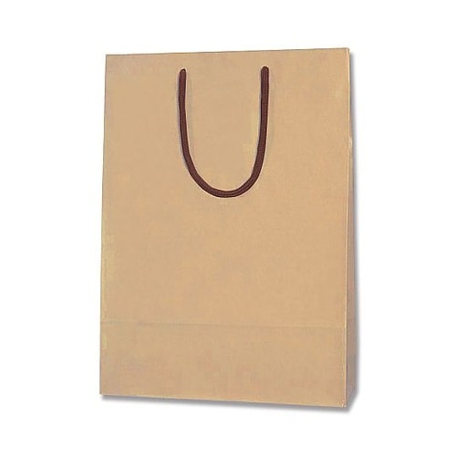 005310116 手提げ紙袋 クラフト