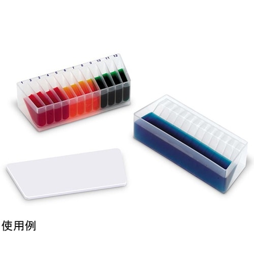 Dual Solution デュアルリザ