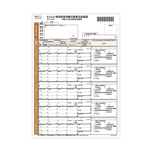 健保算定基礎届(単票)1セット(100枚
