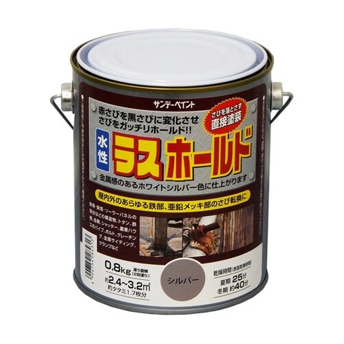 2002E2 水性ラスホールド シルバー