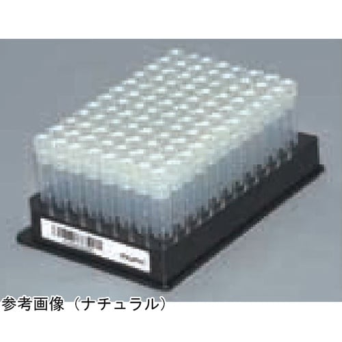 NN 1.0クライオバンク 10ラック