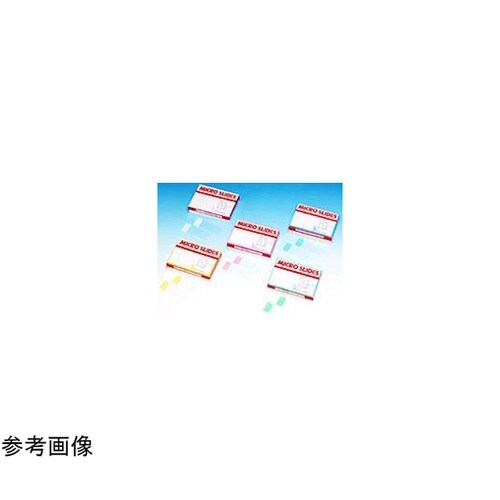 スターフロスト水縁磨(ブルー) 20F