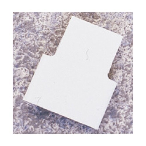 NBクライオケーンコード(100) DS