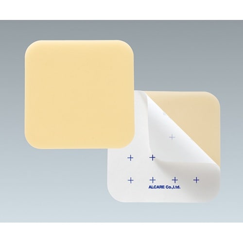 18391 セルケアウエハー10号 数5