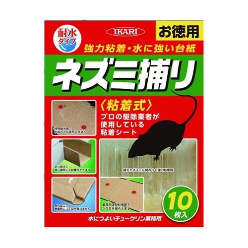 水に強いチュークリン業務用 1箱(10個