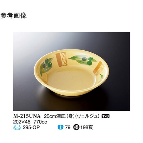 20cm 深皿(身) ヴェルジュ 10個