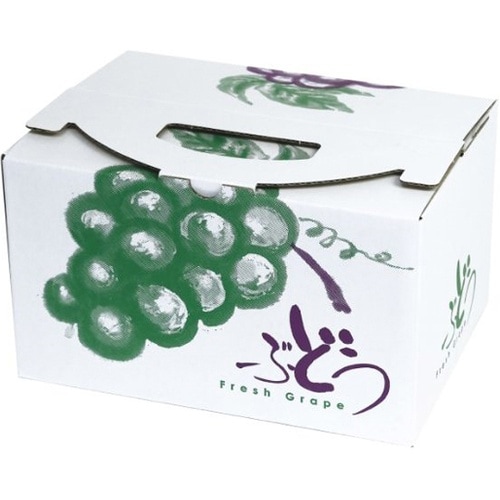 青果用贈答箱 ぶどうの里 手提 中 10