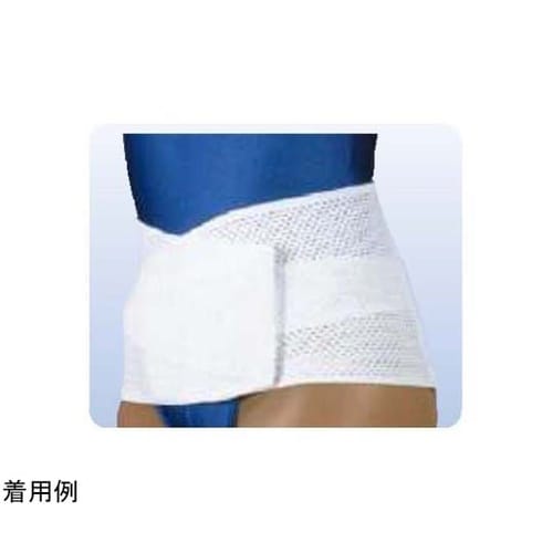 山田式 骨盤Wフィット L 01052