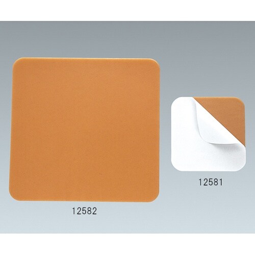 プロケア−ウエハ− 12581 10枚