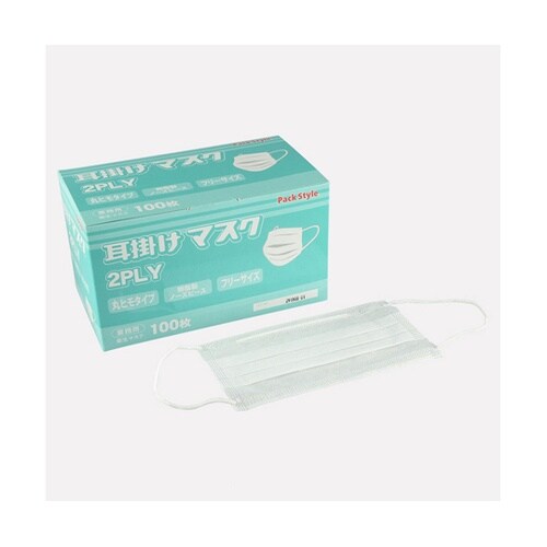 マスク 2PLYマスク 耳掛けタイプ 1