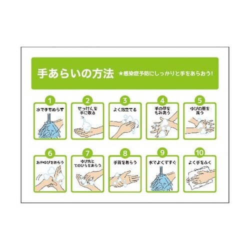 6300004282 手洗いの方法