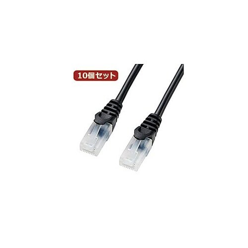 サンワサプライ ツメ折れ防止CAT5eL