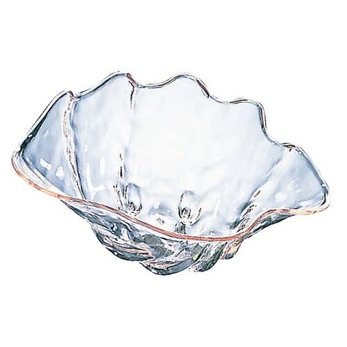 シャコ貝 クリア L プラスチック