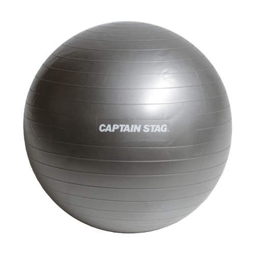 フィットネスボール φ65 シルバーホワ