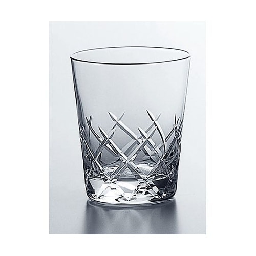 レジナ フリーグラス T−21105HS