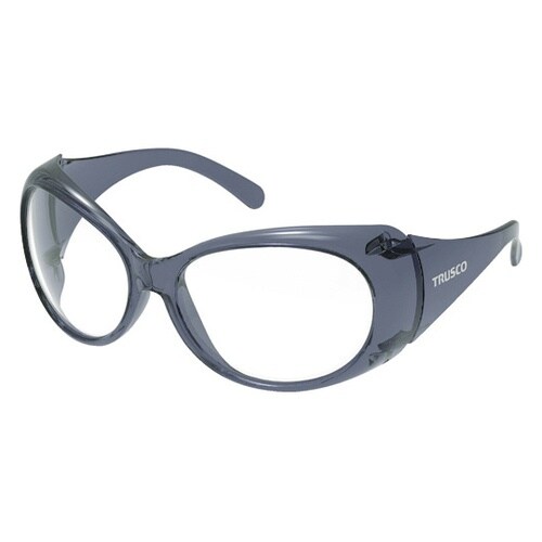 FVGBK 保護めがねブラックタイプ