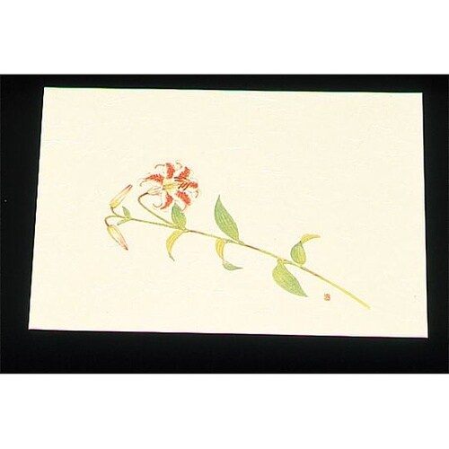 尺三 懐石まっと クリーム(100枚入)