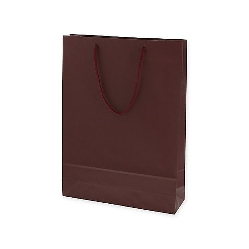 005310113 手提げ紙袋 エンジ