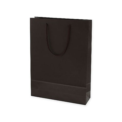005310115 手提げ紙袋 茶