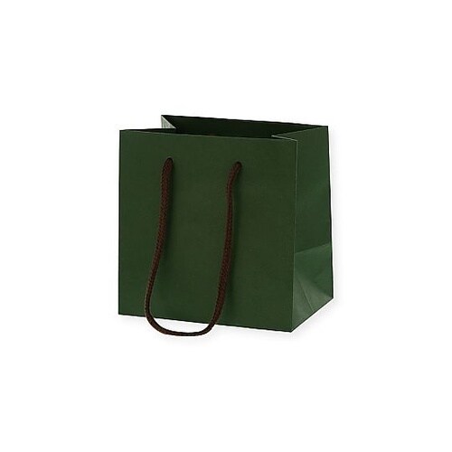 手提げ紙袋 カラーチャームバッグ グリー