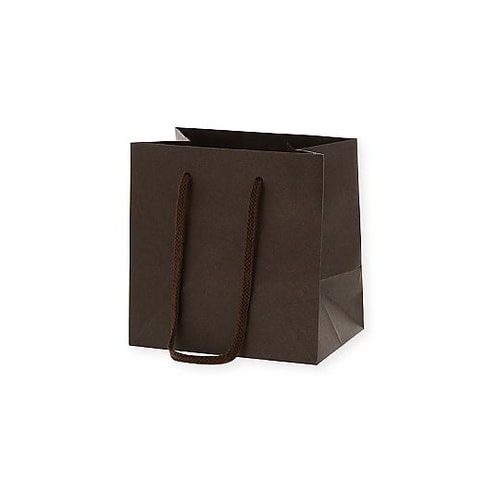 手提げ紙袋 カラーチャームバッグ ブラウ