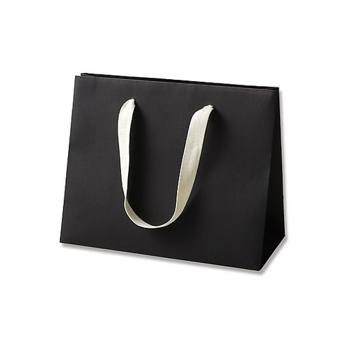 手提げ紙袋 カラーハンドルバッグ LW