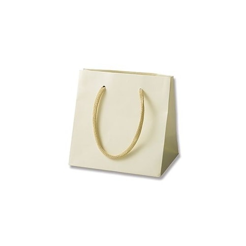 手提げ紙袋 カラーハンドルバッグ MW